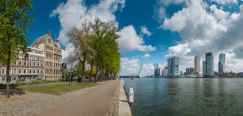 Papier Peint photo autocollant Pont Érasme View of Rotterdam skyline South bank district on a sunny day