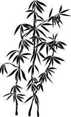 bamboo branch China plant vector