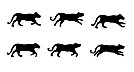 Black silhouette of a tiger in different poses. Vector illustration.