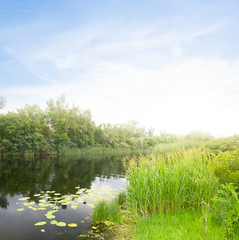 quiet river with forest on a coast, summer countryside early morning scene