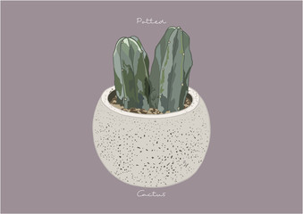 Vector Illustration of Potted Cactus / Cactus in a Pot