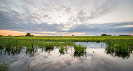 Fototapeta premium Sunset over a wetland in Holland