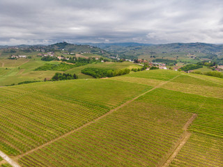 Fototapeta na wymiar Langhe region, Piedmont, Italy. Vineyards landscape in a cloudy day