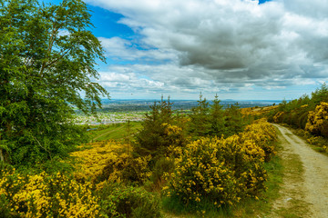 Naklejka premium Dublin from the mountains