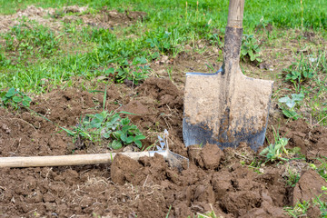 Shovel in the garden close-up. Agricultural concept.