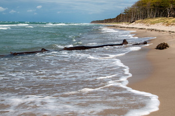 Fototapeta premium Weststrand Born a Darß