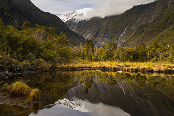 Fototapeta premium Franz Josef Gletscher Neuseeland, Peters Pool