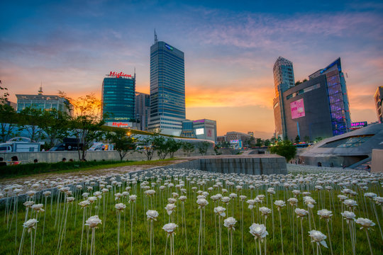 Seoul city skyline at sunset with beautiful LED rose field at Dongdaemun Design Plaza (DDP)