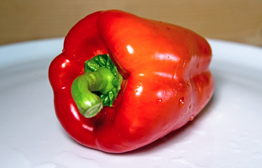close-up of one red bellpepper with waterdrops on a plate