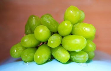 close-up of green grapes on plate