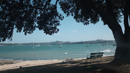 Fototapeta na wymiar Bench looking to the blue sea in the Devonport area with the view to Auckland city, New Zealand 