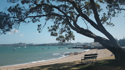 Fototapeta na wymiar Bench looking to the blue sea in the Devonport area with the view to Auckland city, New Zealand 