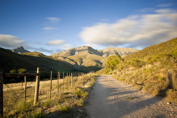 rural dirt road with mountains in background