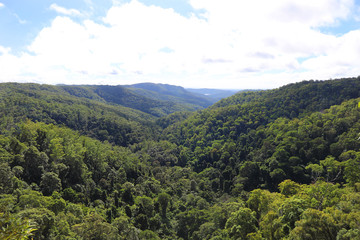 Fototapeta na wymiar View across the Rainforest