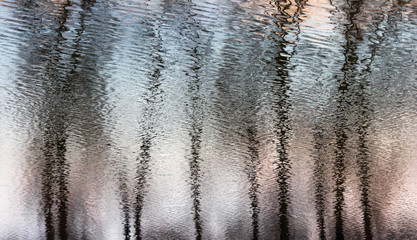 pattern of woods reflection in water