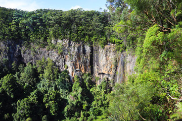 Cliffs in Rainforest