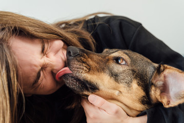 Young woman laughing with her dog licking her face. Dog licking a girl face. Closeup - obrazy, fototapety, plakaty