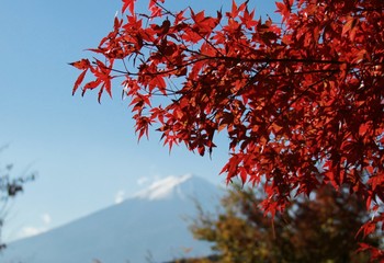 富士五湖紅葉