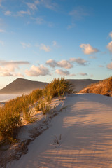 ripples on the beach sand landscape