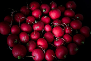 European spring fresh radish. Black background.