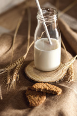 milk in a bottle. branches of wheat. oatmeal cookies