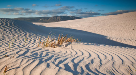 landscape with sand dune and ripples in the sand 
