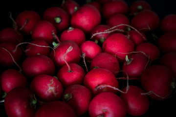 European spring fresh radish. Black background.