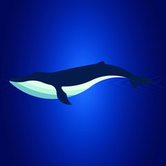 A whale on blue background.