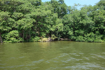 Belize Carribian