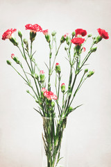 Red carnations in glass vase, natural decoration