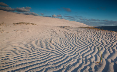 Fototapeta na wymiar landscape with sand dune and ripples in the sand 