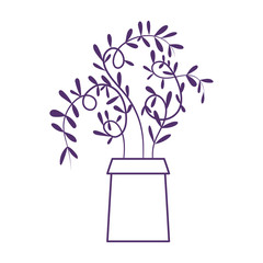 potted plant decoration interior gardening isolated icon design