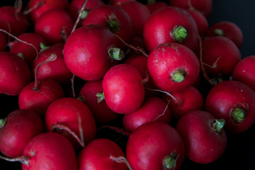European spring fresh radish. Black background.