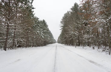 Winter Road