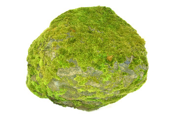 Moss on the rock on white background.