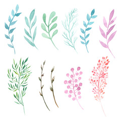 Set of watercolor delicate branches isolated on white background. Hand-painted watercolor design elements  Raster illustration.