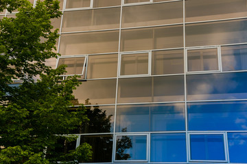 Business buildings, modern architecture, modern office, open Windows, reflection of the blue sky, green flowering tree