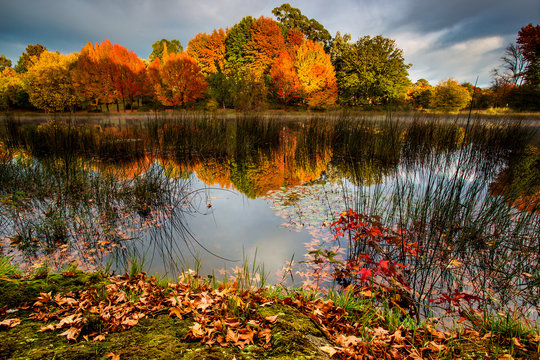 Autumn landscape scene Himeville, South Africa. Autumn trees and lake, Kenmo