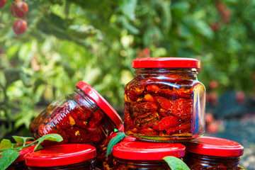 Red sun-dried tomatoes in banks in a green greenhouse. Harvest Tomatoes. Sunny Day. Selective focus.
