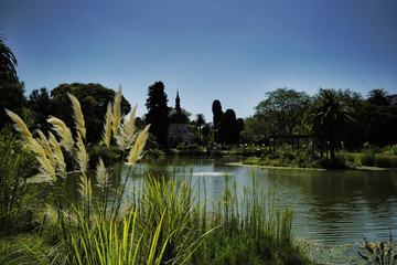 Lagoon in tourist park of Buenos Aires