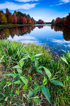 Autumn landscape scene Himeville, South Africa. Autumn trees and lake, Kenmo
