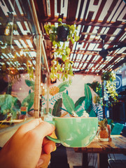 cafe in Bali palm trees green coffee mug Sunny day pillows pineapple