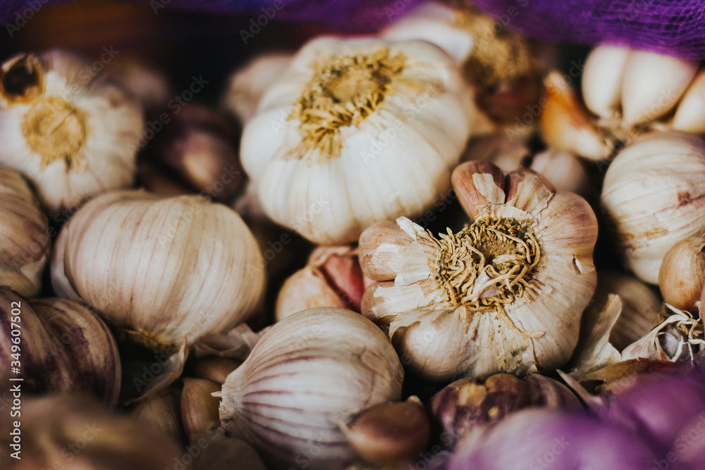 Wall mural bunch of garlic