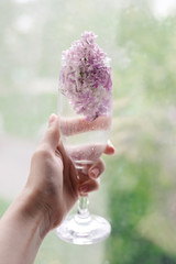 pink flower in a glass