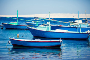 Fototapeta na wymiar A lot of fising boats in the port in Egypt.