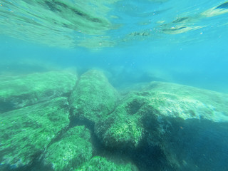 Underwater view of Alghero rocky coast