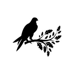 Falcon Logo silhouette Design icon isolated on white background