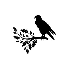 Falcon Logo silhouette Design icon isolated on white background