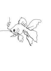 One continuous line drawing, , goldfish