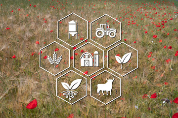  Icon of various symbols of agriculture © sissoupitch